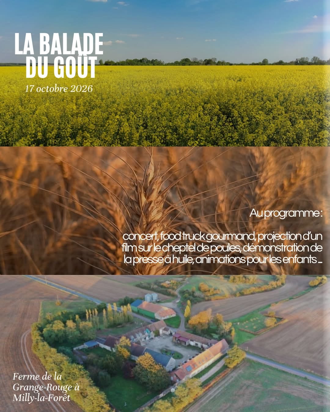 La balade du goût à LGR